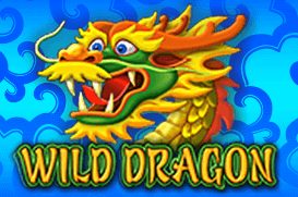 Banda Casino Wild Dragon